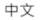 繁體中文